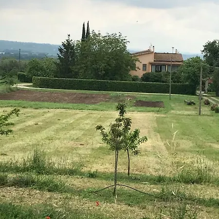 Al Mandorlo Apartment Viterbo